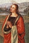 PERUGINO, Pietro The Pazzi Crucifixion (detail) af painting